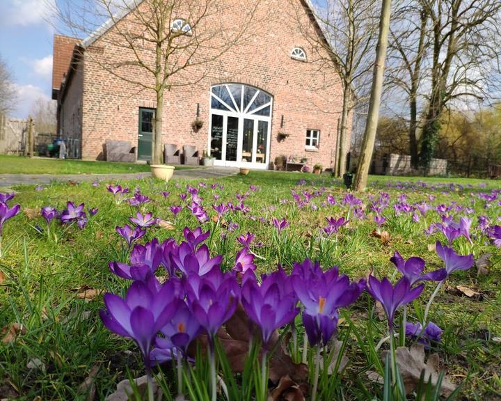 Land-Café Alpakas am Schloss